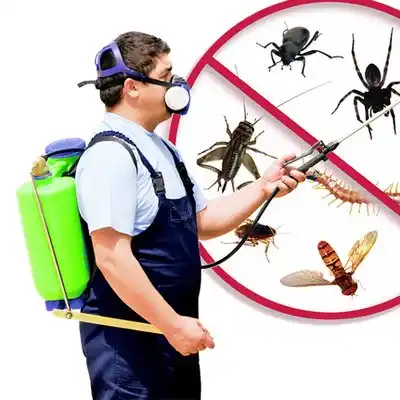 pest control Ionia